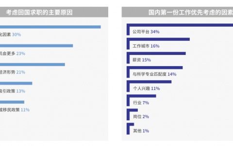 網站優化與網絡優化 數字時代提升用戶體驗與性能的雙翼